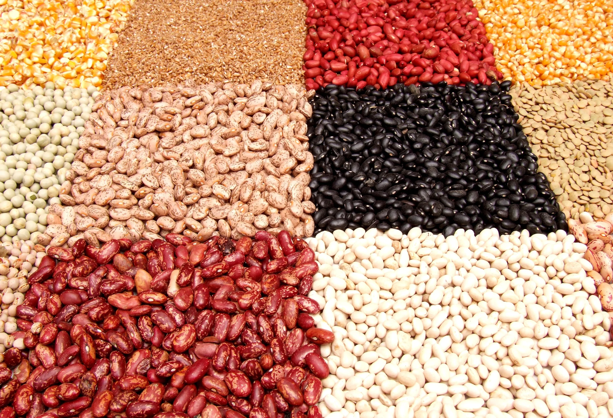 legumes are rich in selenium